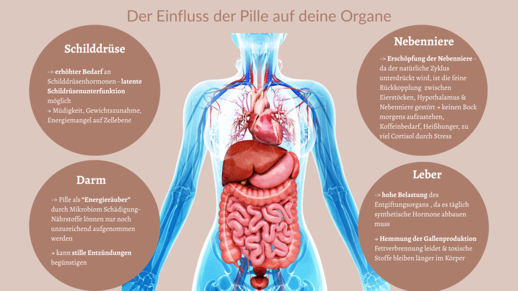 Versteh deinen Körper neu – diese Grafik zeigt die verborgenen Auswirkungen der Pille auf deine Energie, Verdauung und hormonelle Balance.